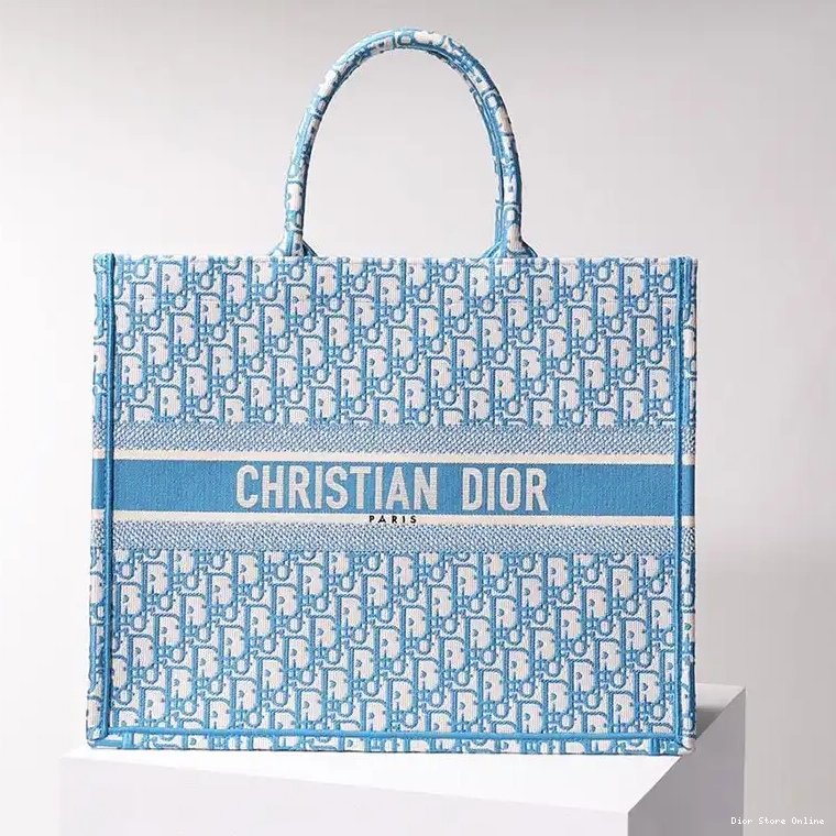 Tote Oblique Dior Canvas Book Motif Light Blue 0227 Hot Sale