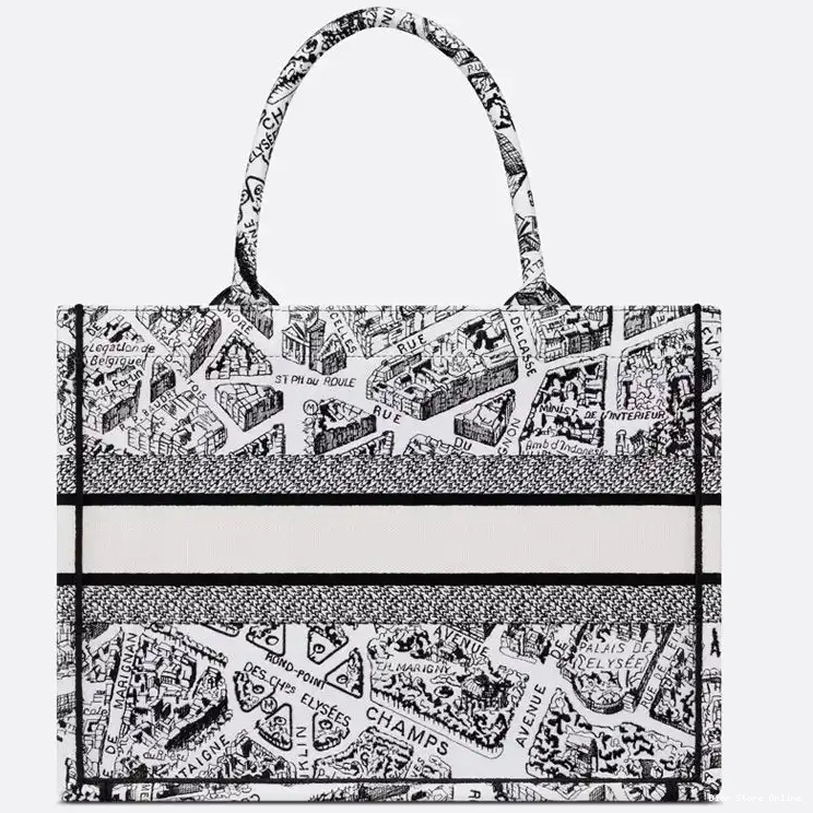 Cheap Dior Book de Tote Canvas White Motif Paris Plan 0215 Hot Sale