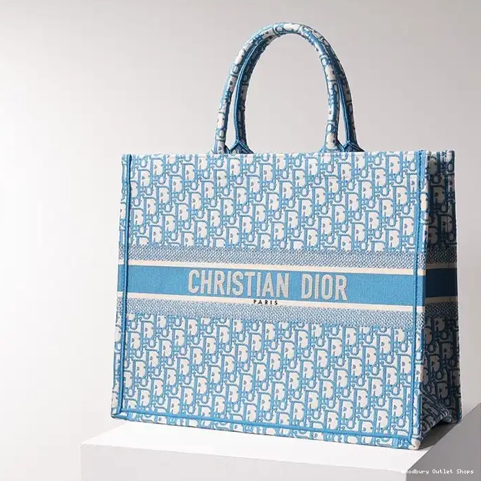 Cheap Tote Light Dior Book Blue Canvas Oblique Motif 0211 Hot Sale